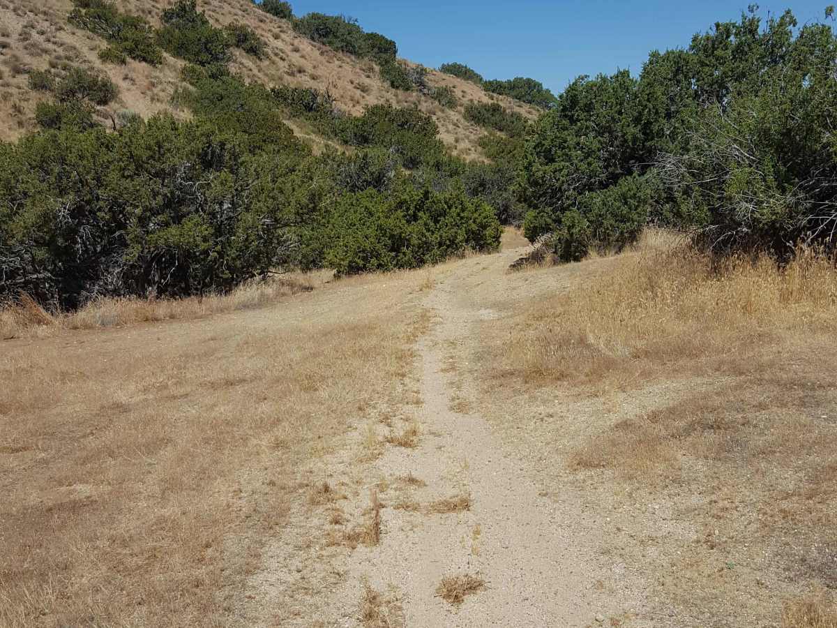 Trail 43 photo 5