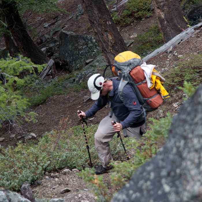Near Fall Creek - Surprise Valley, Broad Canyon Divide