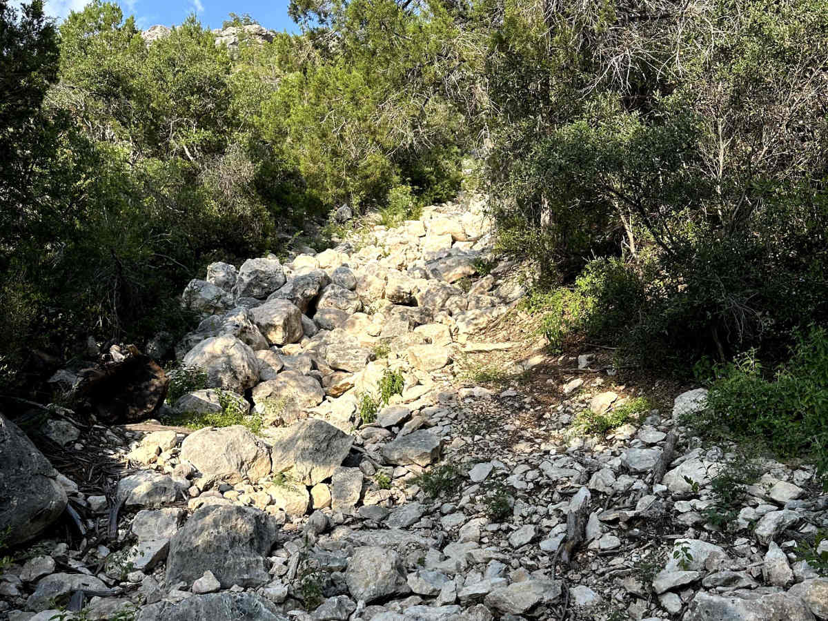 Two Mules - V15 photo 2