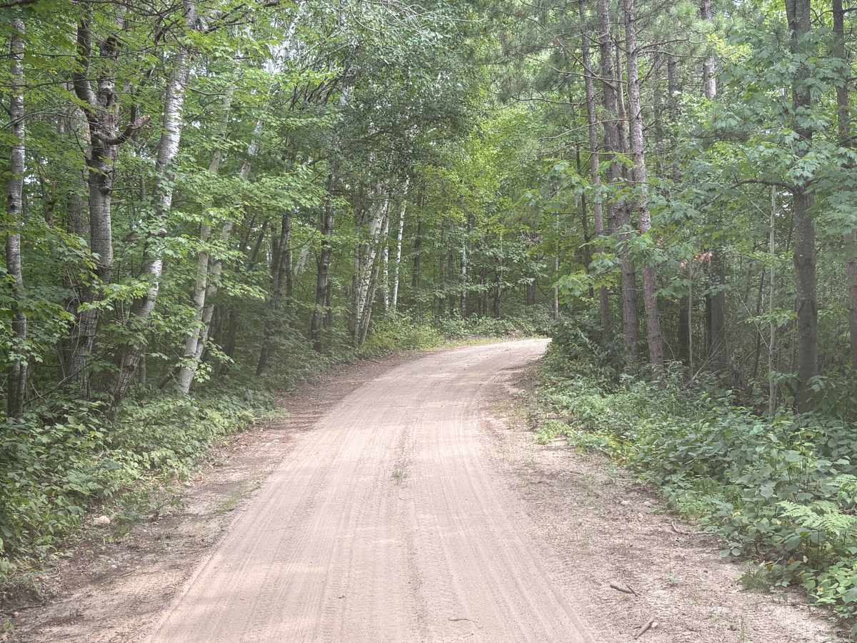 Navillus Forest Road photo 2