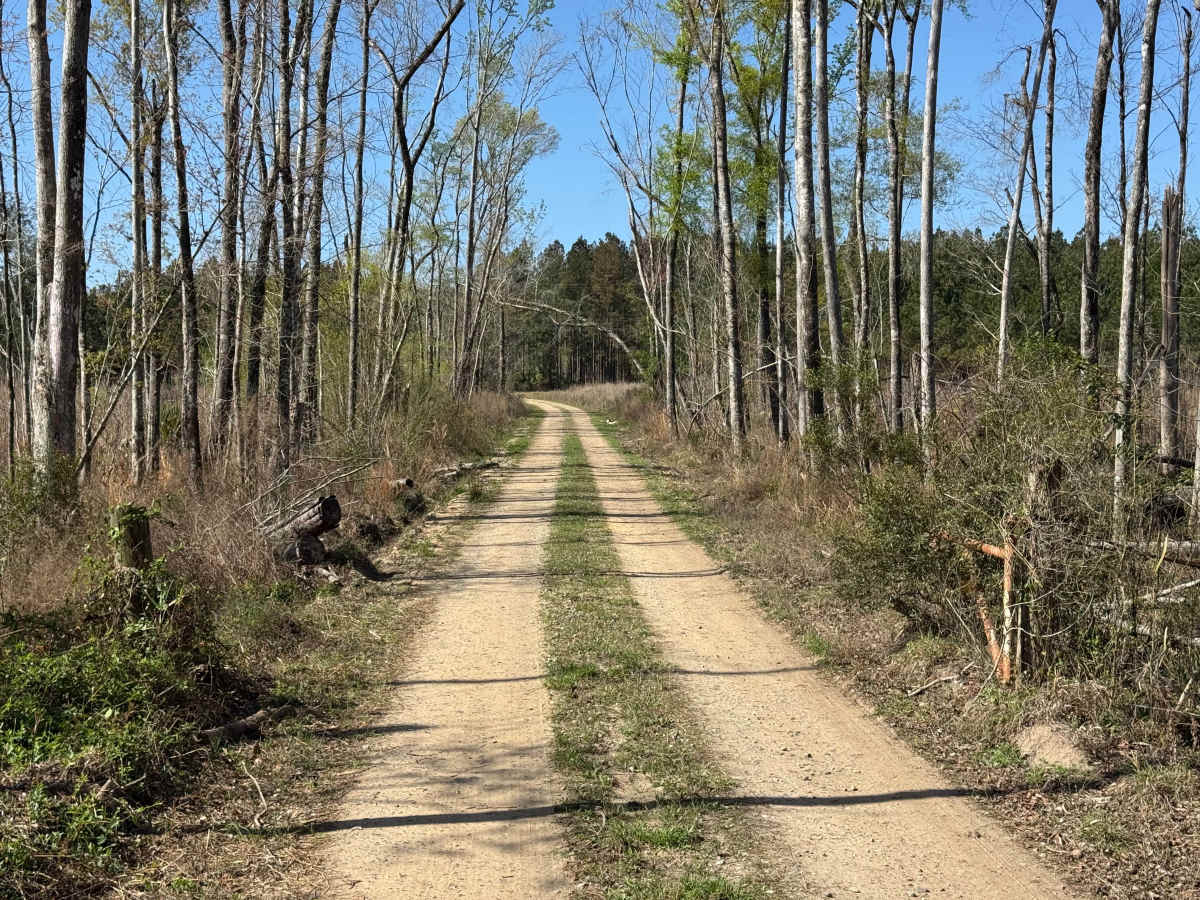 Belle Vista Road photo 2