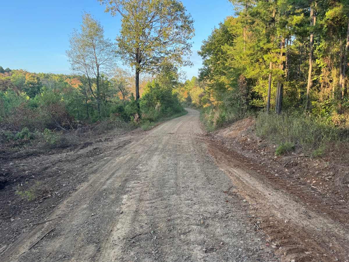 Zelon Young / Robert Hill Road trail photo