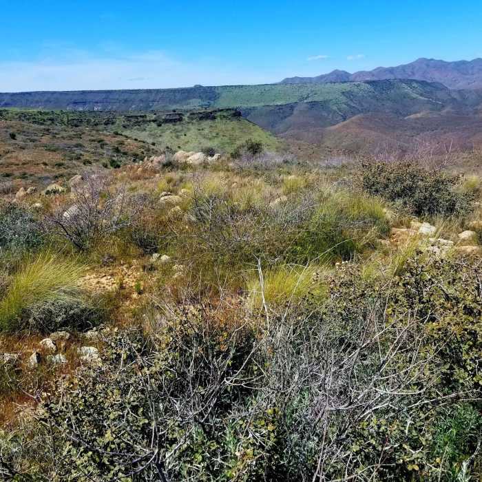 Near Skunk Tank - Cave Creek Loop