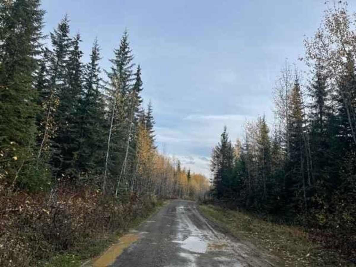 Cassy Road photo 2