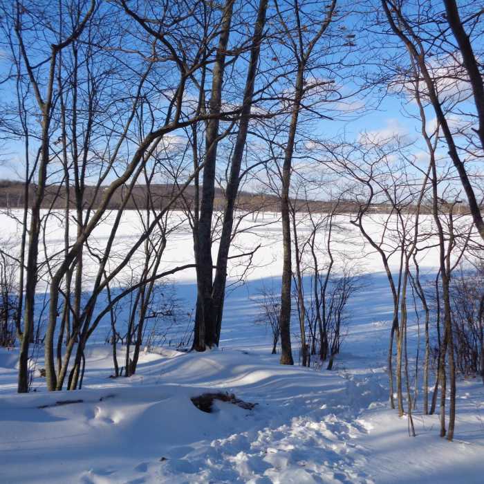 Near John F. Malley Trail Near John F. Malley Trail