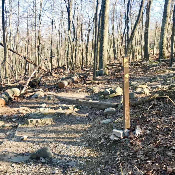 Near Cat Rock Mountain via Old Misery Trail