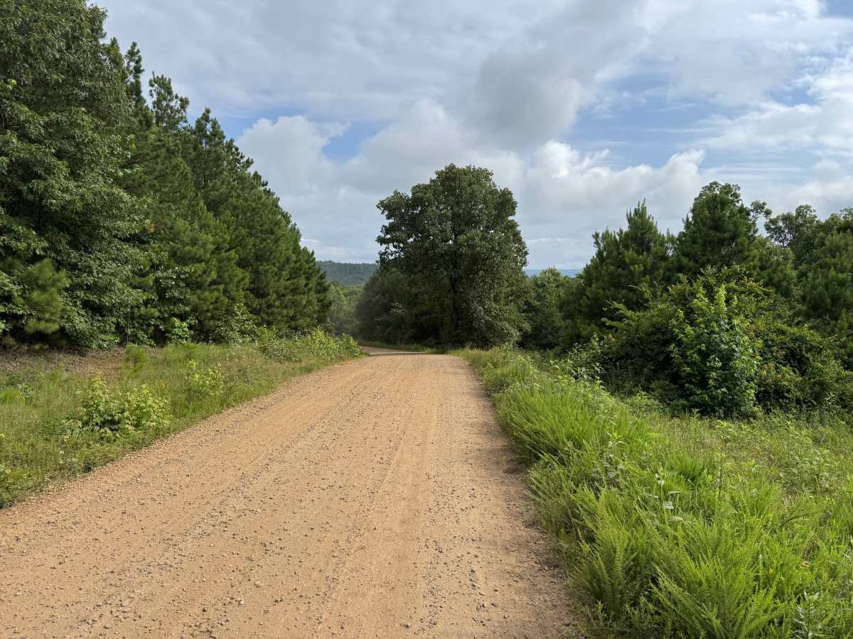 North Web Road photo 4