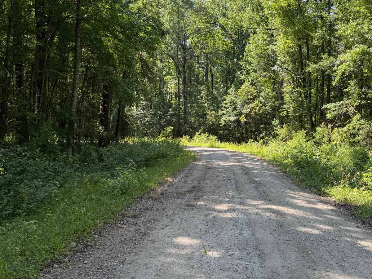 Pine Grove - FS 156 photo 6