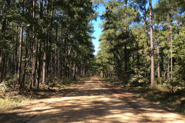 Eastern Evangeline District Trail