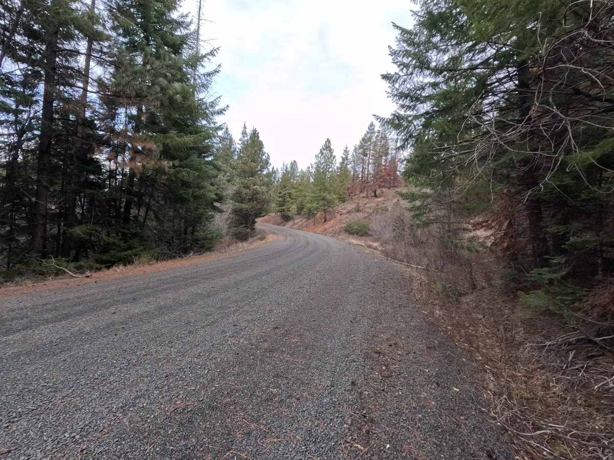 The Old Western Route - FS 21 photo 6