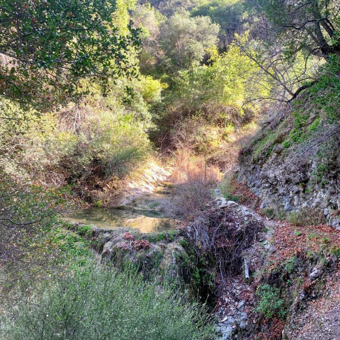 Near Cold Spring Loop