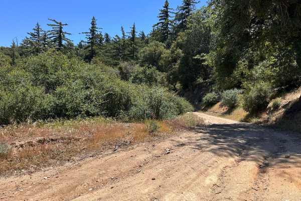 Suncrest Trail