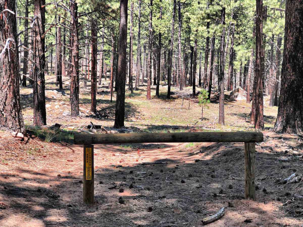 Dude Ranch to Stone Henge photo 3