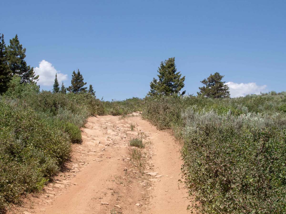 Baxter Ridge Road photo 4