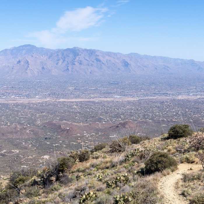 Near Wasson Peak Circle Route