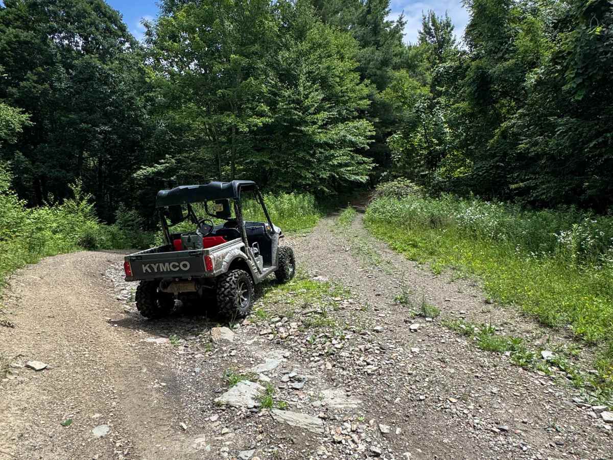 Trail 38 trail photo