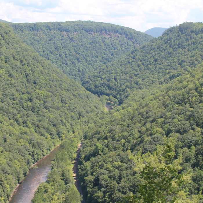 The Canyon / Gorge Near Rustic Camping Area to Pine Creek