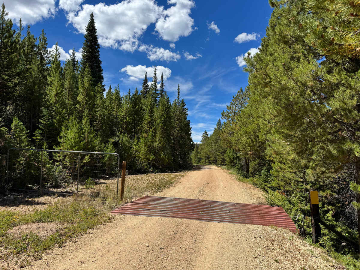 South Fork Arapaho Creek Road photo 5