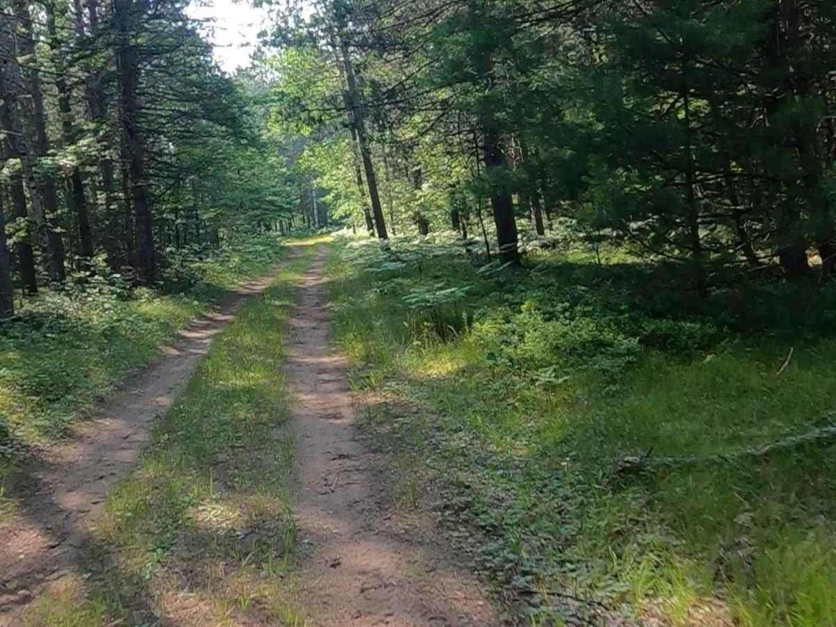 Bills Creek West - FSR 2814 photo 2