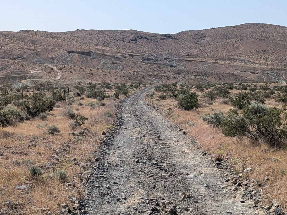El Paseo Road photo 3
