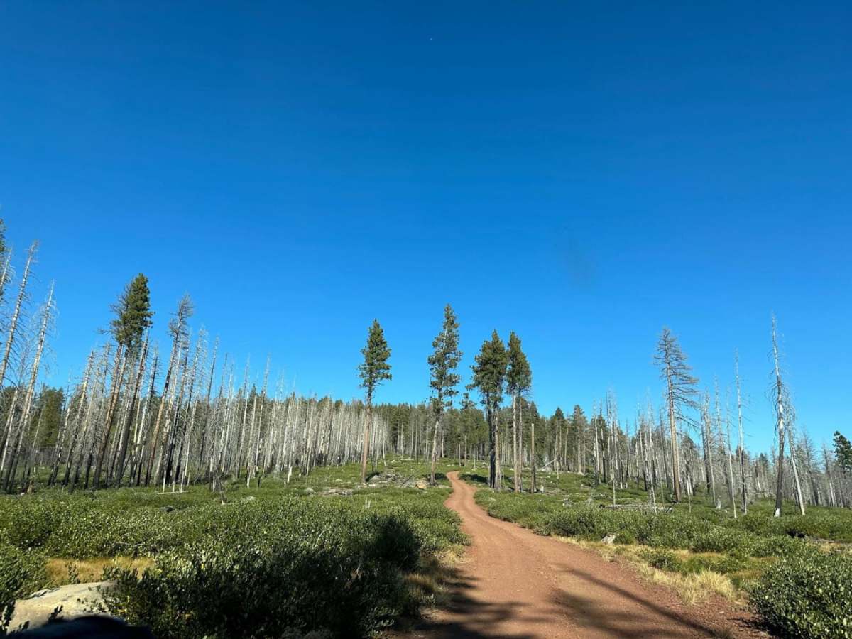 Trout Creek Butte Summit photo 5