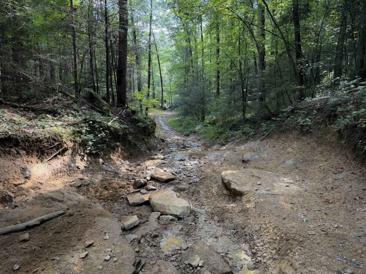 Ollie’s Creek Trail 2  photo 4