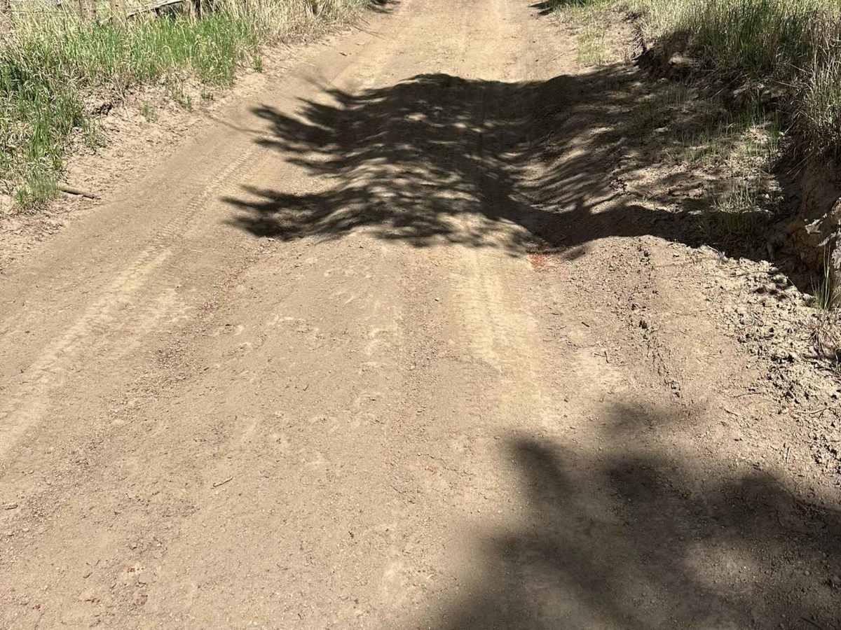 Messenger Road photo 6