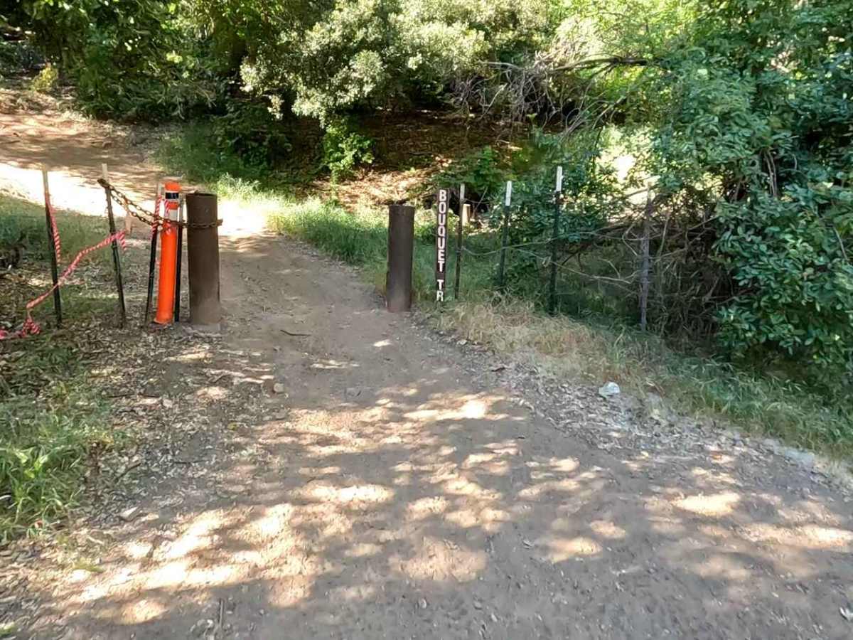 Bouquet Trail trail photo