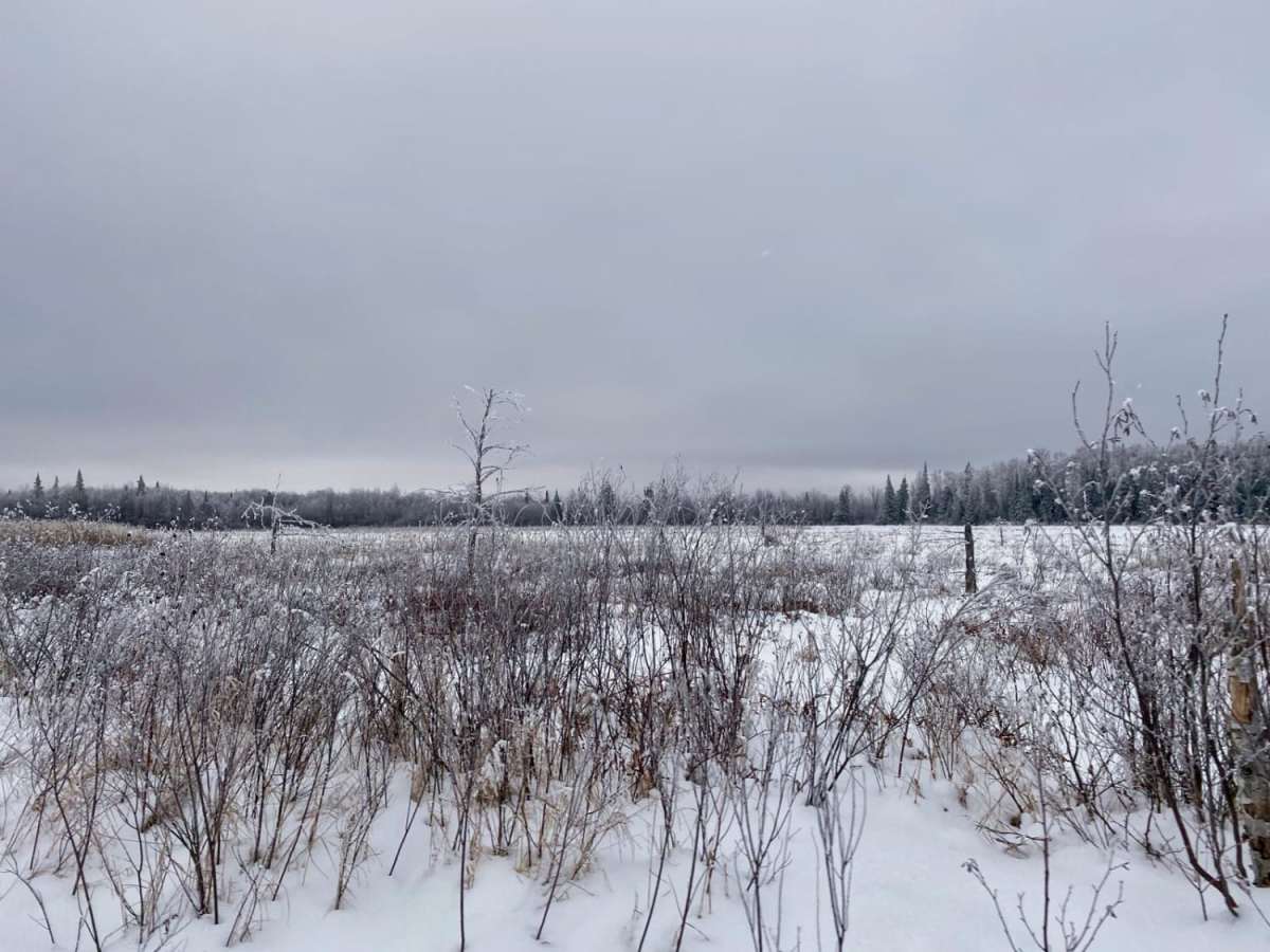 Gandy Dancer Trail photo 4