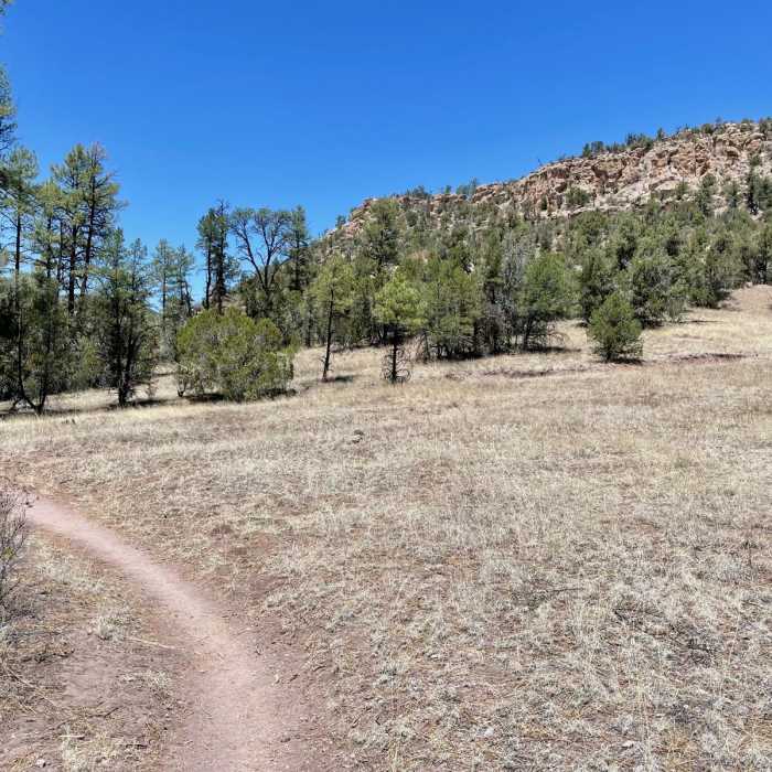 Near Little Bear Canyon Hike