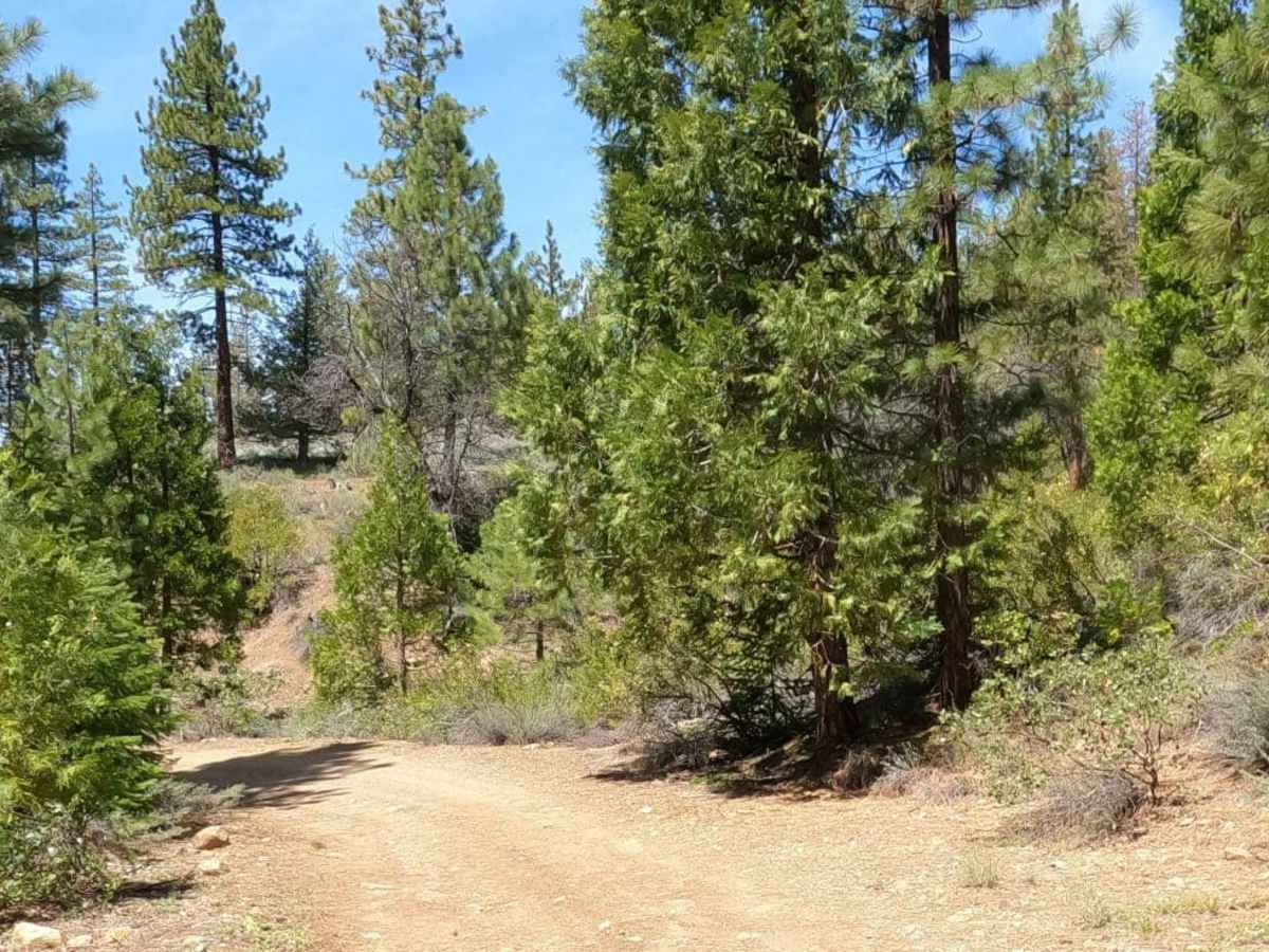 Bonta Creek - NF23N33 photo 3
