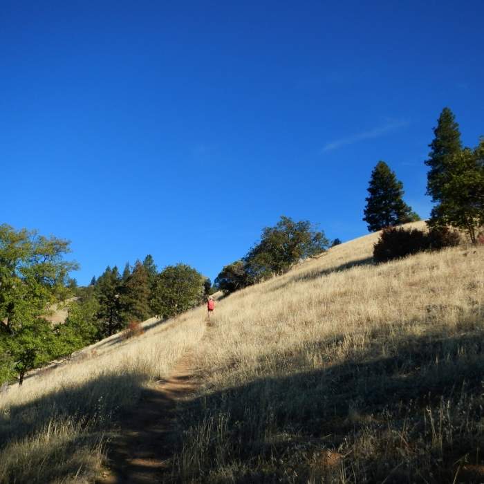 Near Sterling Mine Ditch Trail Out and Back