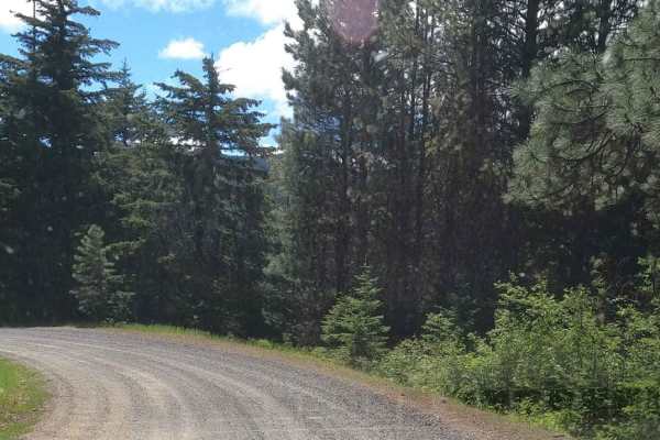 Miners Point -  NF3300-133