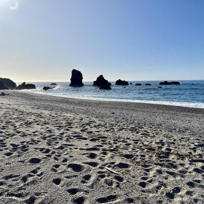 Near Monro Beach Walk Near Monro Beach Walk