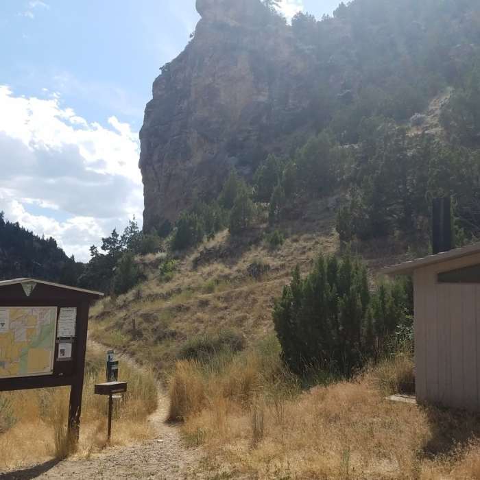 Near Salt Lick Loop Trail