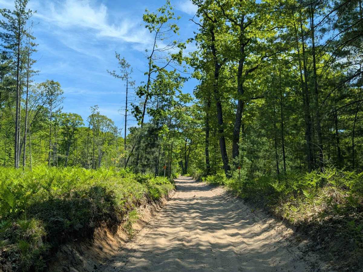 North Missaukee Route (section 4) photo 4
