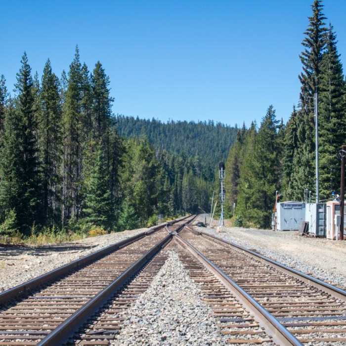 Near Yoran Lake Trail
