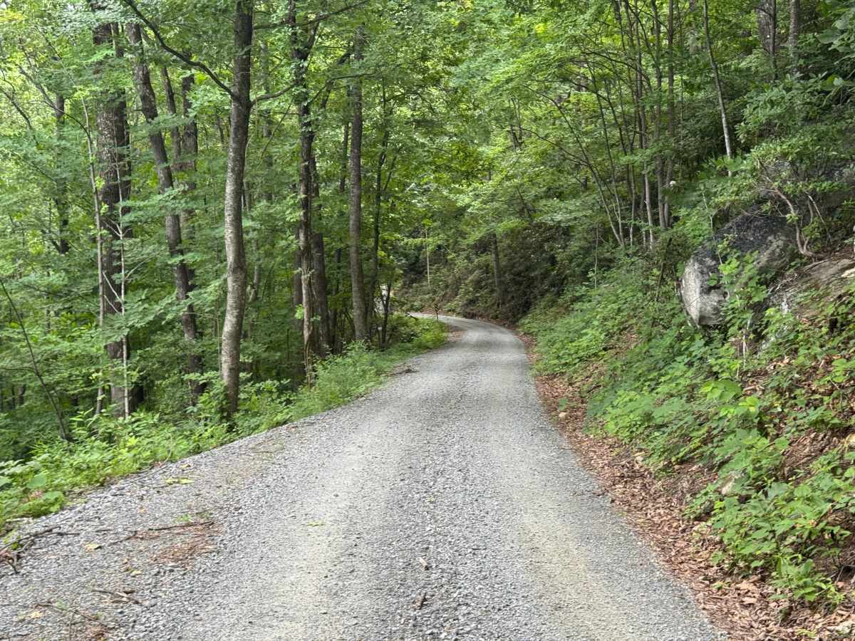 Cove Creek Road - FS 225 photo 4