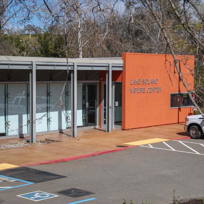 Near Lake Solano Shoreline Trail