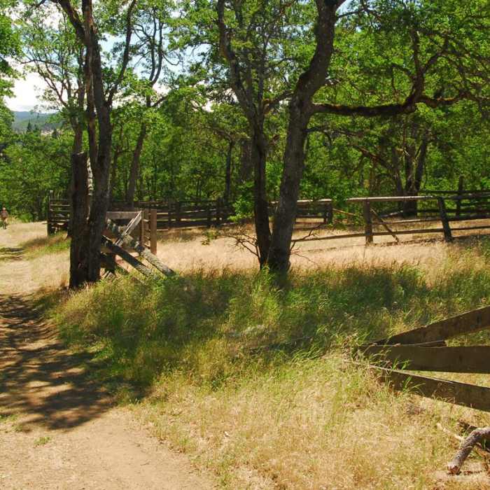 Near Catherine Creek Hiking Trail