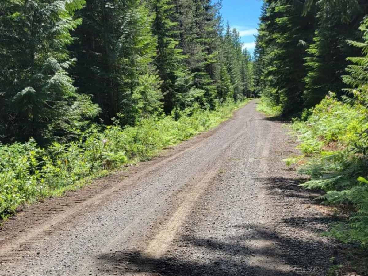 Trillium Lake Loop photo 6