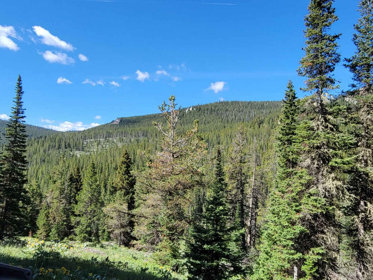 Little Horn trail photo