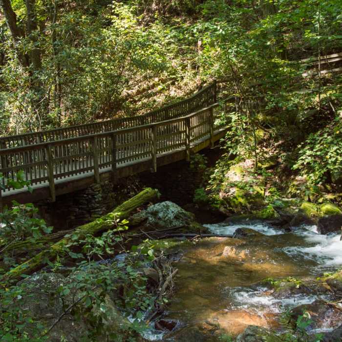 Near Anna Ruby Falls Trail #15