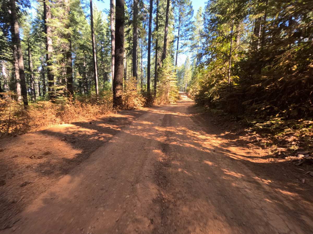 Bear Trap Springs Road - FS 69 photo 2