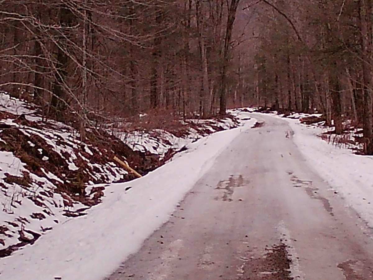 Camp Hill Road photo 2