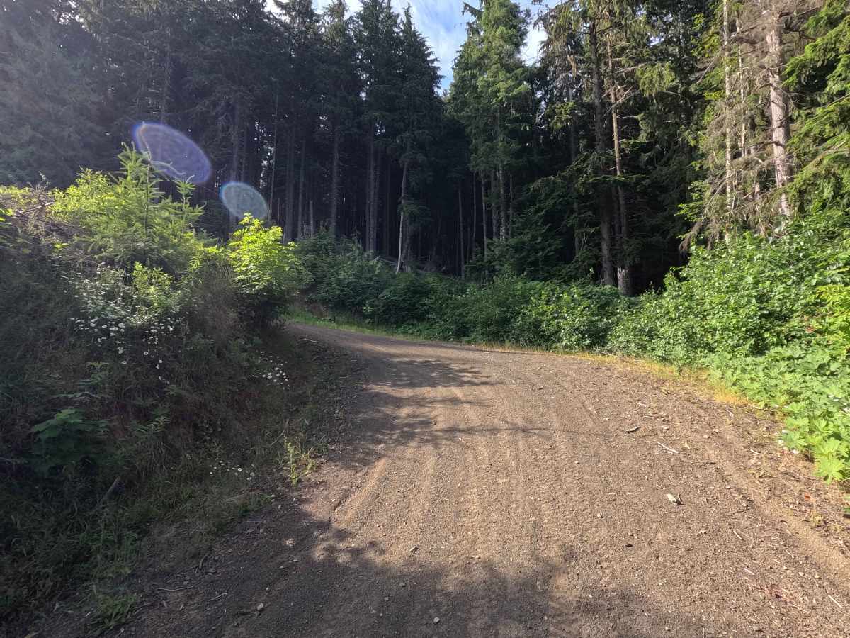 Walking Horse Trail photo 3