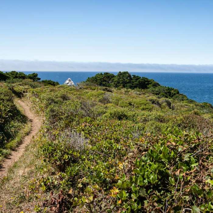 Near Port Orford Heads State Park Trails