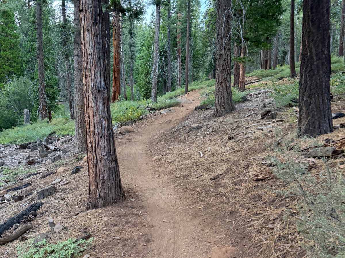 Beaver Tail Trail (Upper) photo 2