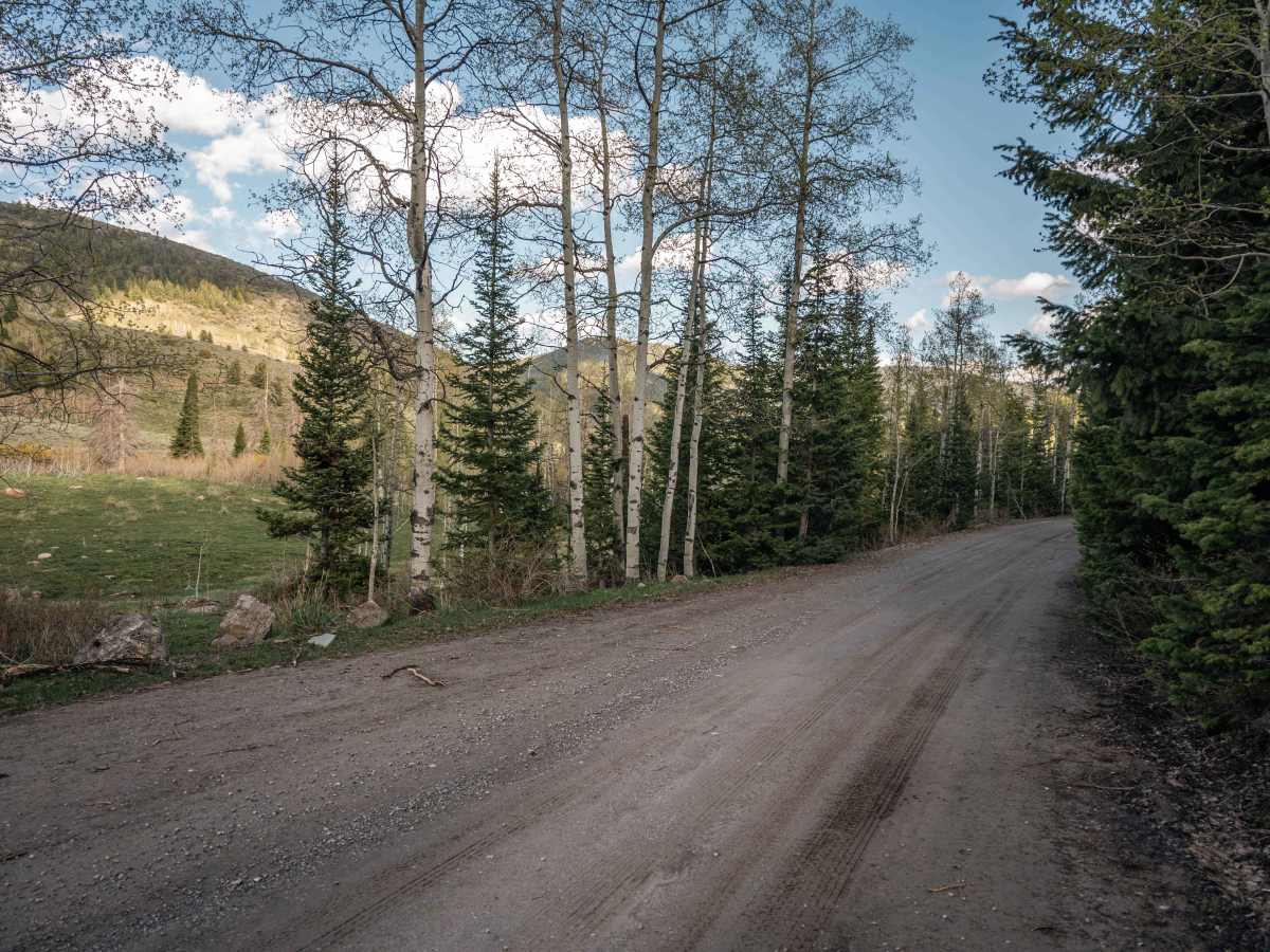 Franklin Basin Utah Section trail photo