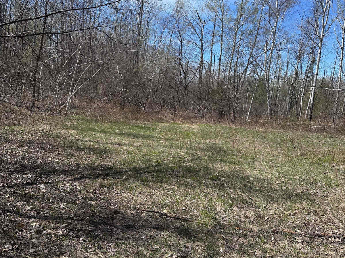 Hunter's Spur photo 5